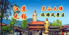 大骚屄江苏无锡灵山大佛旅游风景区